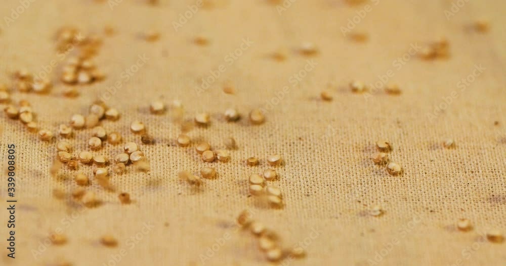 White Quinoa Grains Falling onto a White Linen Cloth White Quinoa Grains Falling onto a White Linen Cloth