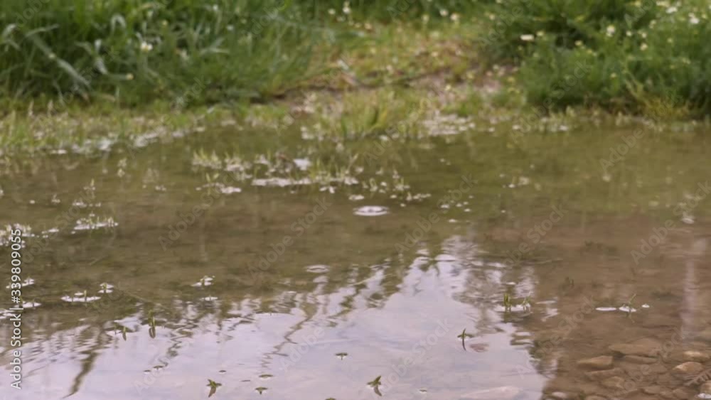 Pan shot of water puddle, low view with reflections during light rain Pan shot of water puddle, low view with reflections during light rain