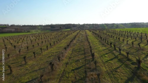 Drone footage over a Wine yard in spring, Hungary.
Drone moves fast forward and up photo