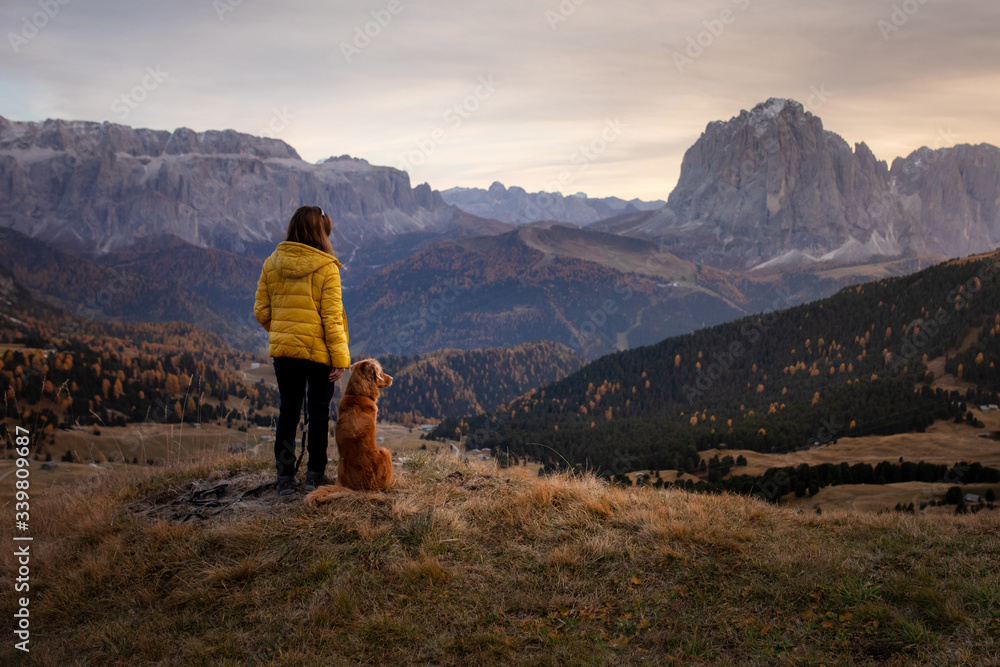 person with a dog in the mountains. travel, hiking with a pet. Nova Scotia retriever with a girl.