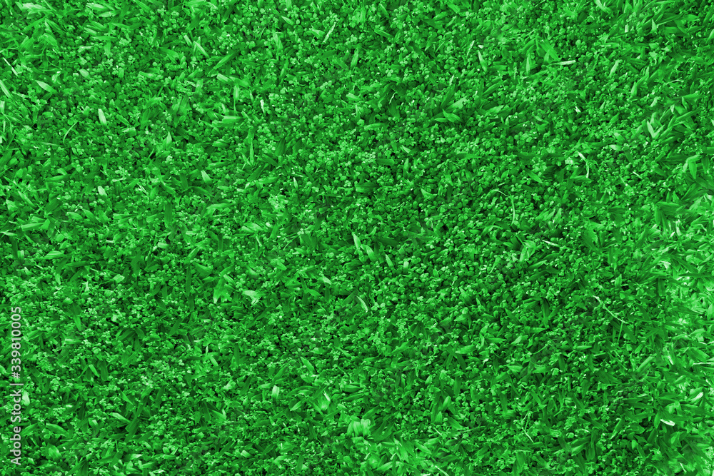 Background of a green grass with sunlight and shadow. Background of a green grass with sunlight and shadow.