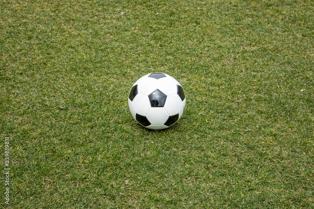 芝生の上のサッカーボール