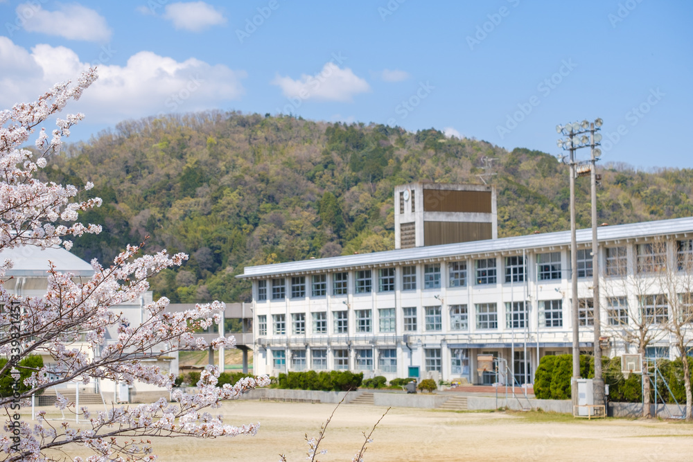 学校と桜の花　春　入学式　新学期