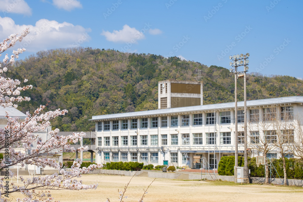 学校と桜の花 春 入学式 新学期 学校と桜の花 春 入学式 新学期