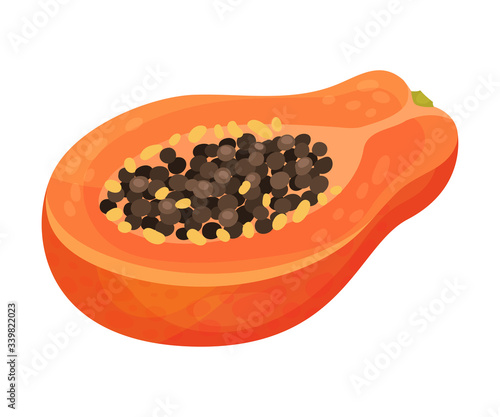 Halved Papaya Fruit Showing Orange Flesh and Numerous Black Seeds Vector Illustration