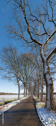 Winterlandscape Oostvierdeparten. Koloniehuisje. Maatschappij van Weldadigheid. Drenthe Netherlands. Winter, Snow. Lane and trees © A