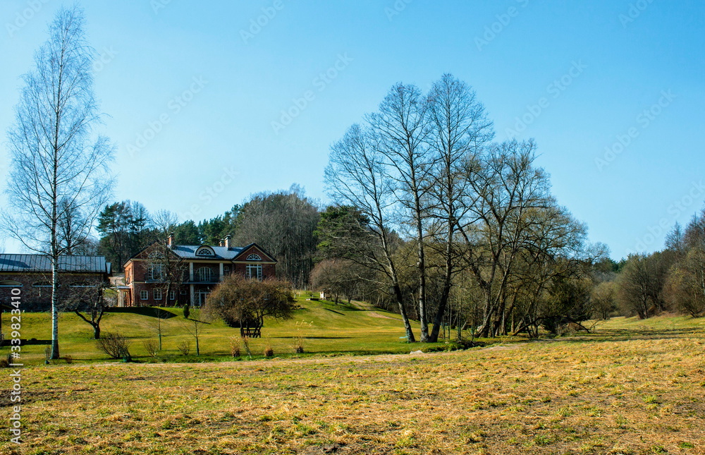 Obraz premium Rural landscape with trees