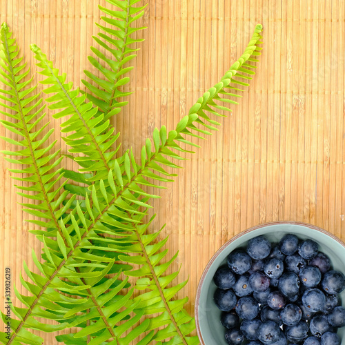 Fresh blueberry in bowl with green fern. Top view. Concept of healthy and dieting eating
