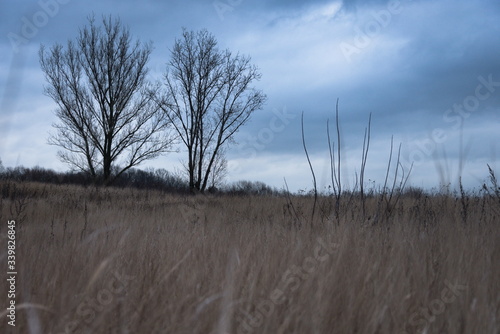Fototapeta Naklejka Na Ścianę i Meble -  Cold day