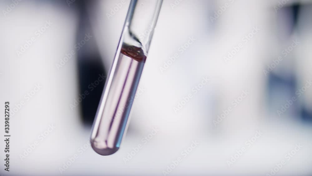 Close up, glass test tube, cuvette with sample. Laboratory, testing