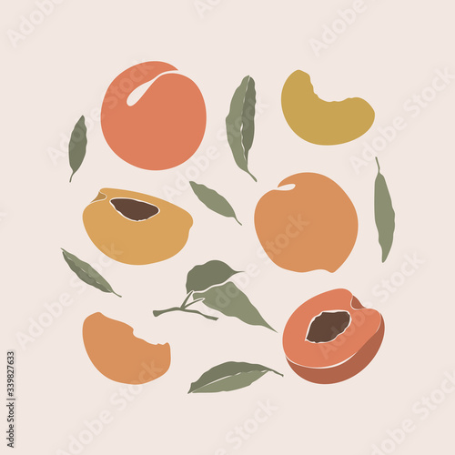Peach icons set with leaves...