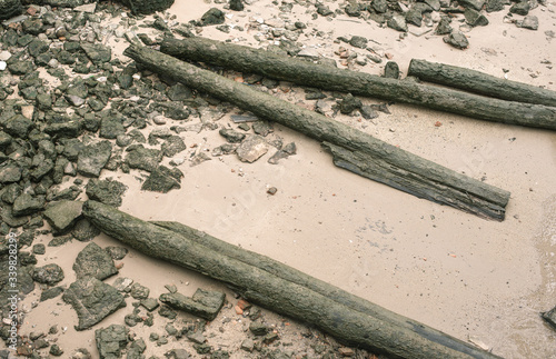 Old driftwood ebb tide on riverside