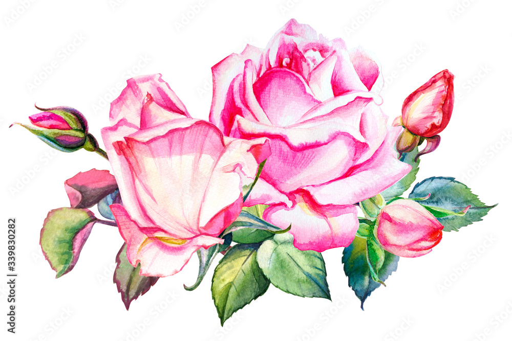 Watercolor pink roses bouquet hand drawn decoration. Floral illustration. Wedding, birthday and Valentine drawing. For greeting cards, invitations,  design, patterns, prints. Flower scape, in bloom.