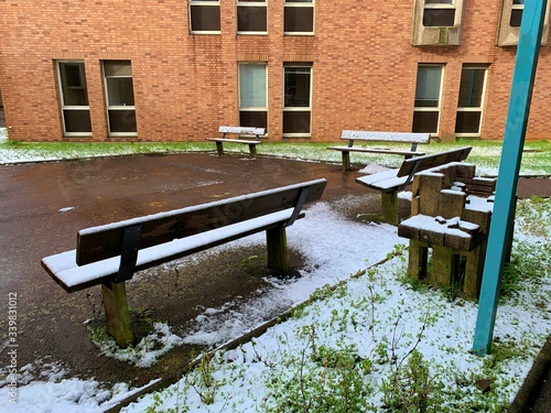 Un tranquilo rincón del tesoro después de la nieve