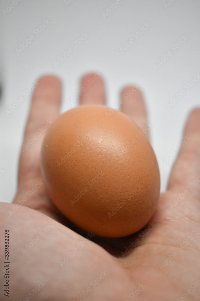 Hand holding a chicken egg on a white background Hand holding a chicken egg on a white background
