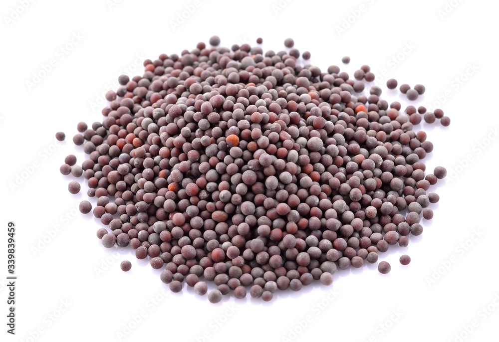Black mustard seed isolated on a white background Black mustard seed isolated on a white background