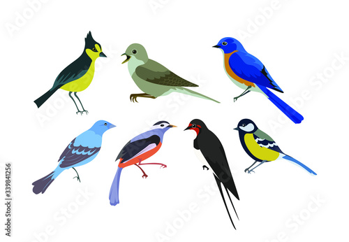 A set of beautiful bright birds. Illustration on a white background. Spring set of birds. © TasyaArty
