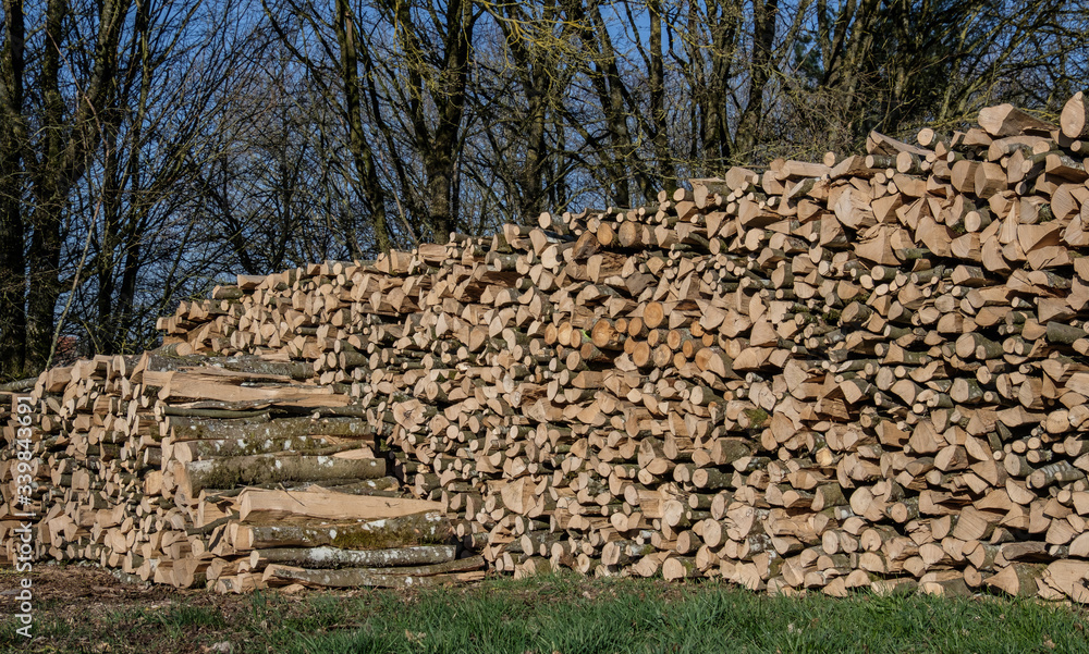Ein großer Haufen Holz, aufgestapeltes Brennholz / Kaminholz (Holzwirtschaft)