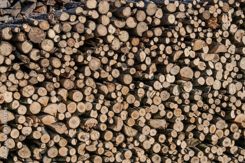 Geschichtetes und gestapeltes Brennholz   Kaminholz  Holzwirtschaft 