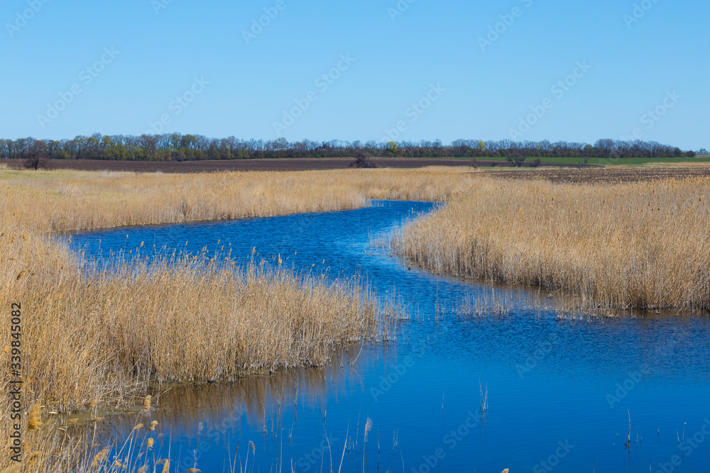 small blue river flow among a prairie, spring outdoor scene small blue river flow among a prairie, spring outdoor scene