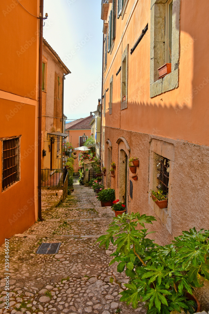 Obraz premium A narrow street between the old houses of a medieval village