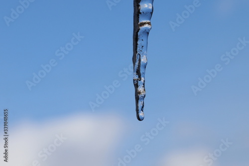 Icecicles on the roof. Forest background