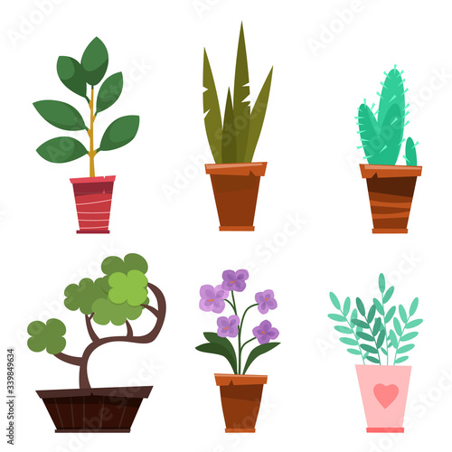 Collection of simple flowers in pots .Set of different houseplants in flat cartoon style.