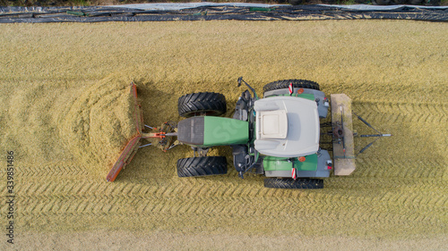 Bild auf Leinwand Maisernte, Mais Silage Haufen mit Traktor festfahren