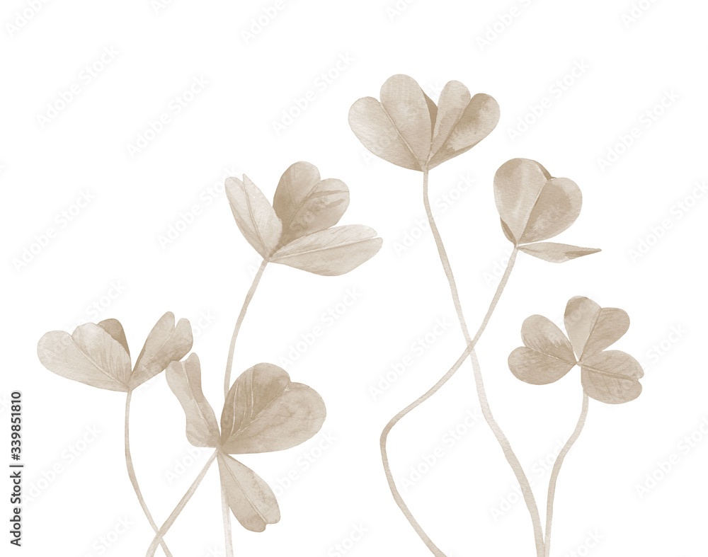 Pastel plant leaves. Clover stems. Detail for card, postcard, wedding invitation, greeting, pattern. Watercolour illustration isolated on white background. Pastel plant leaves. Clover stems. Detail for card, postcard, wedding invitation, greeting, pattern. Watercolour illustration isolated on white background.