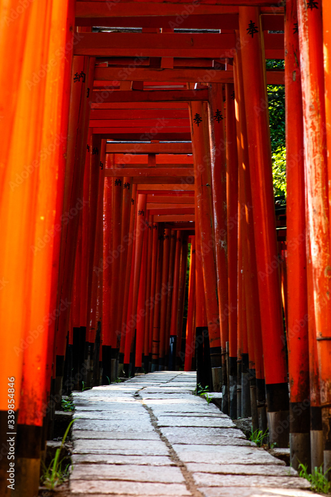 Fototapeta premium Tokyo, Japan - 9 8 2019: The rows of red 'torii' archways in Nezu shrine