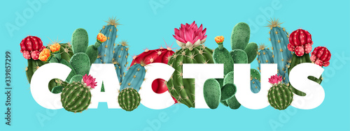 Cactus Floral Vector Illustration 