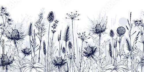 Seamless horizontal background with blue thistles, wild herbs and flowers. photo
