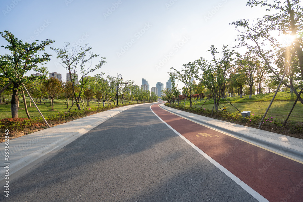 Fototapeta premium road in park