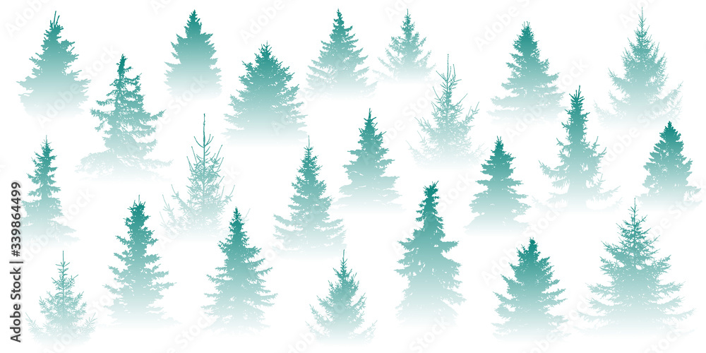 Forest in the fog. Isolated Christmas tree in misty forest on a white background. Vector illustration