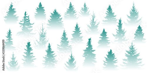 Forest in the fog. Isolated Christmas tree in misty forest on a white background. Vector illustration