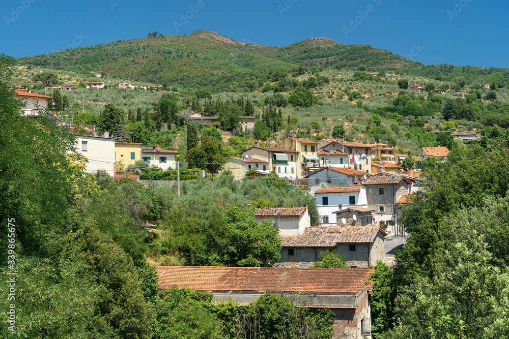 Summer landscape in Arezzo province, italy