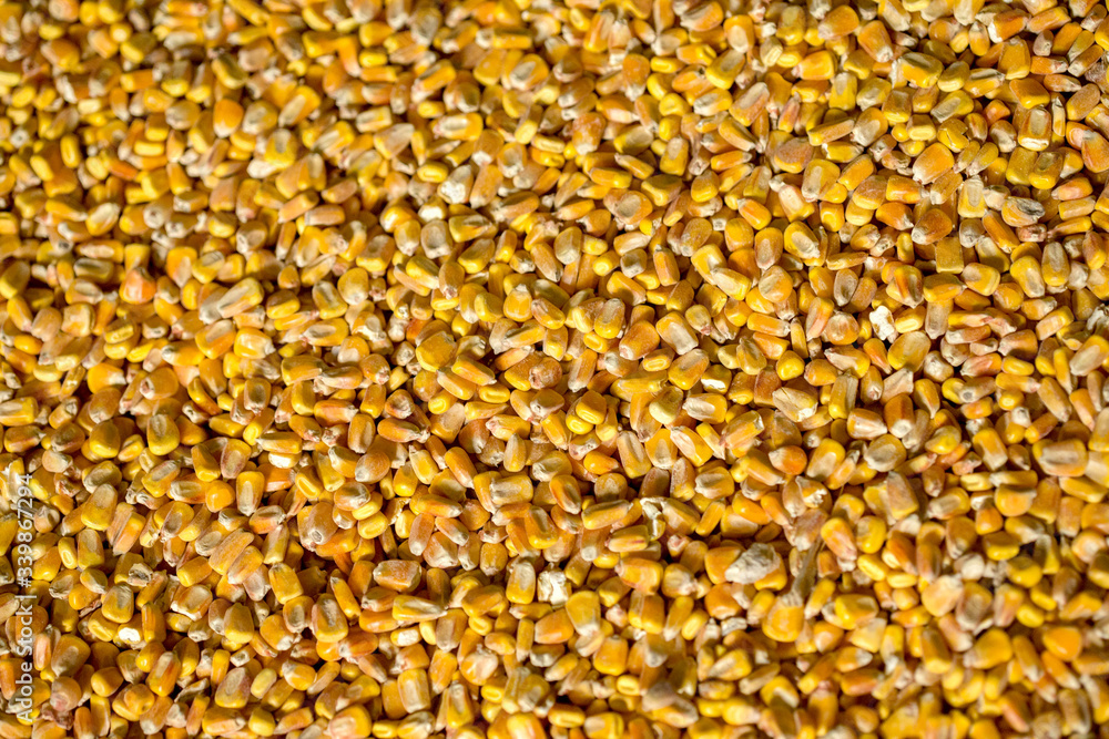 Corn beans background texture background Corn beans background texture background