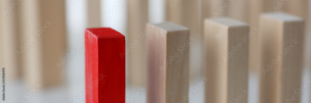 One red winner lottery wood block row lead rare disease multilevel personofication authority back search secret sample special spy closeup One red winner lottery wood block row lead rare disease multilevel personofication authority back search secret sample special spy closeup