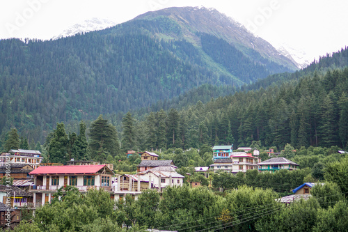 Beautiful Homes in Valley of Mountain