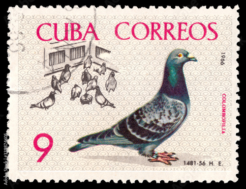 CUBA - CIRCA 1966: A stamp printed by Cuba shows Birds Pigeons. Breder tending coops Baracoa, Pigeons in Yard to Havana championship flight 1959 circa 1966