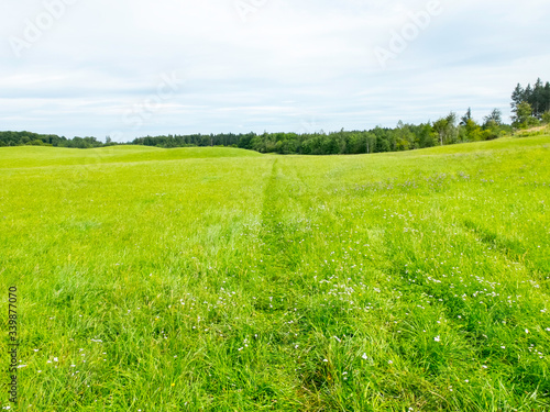 Fototapeta Naklejka Na Ścianę i Meble -  Hilly cultural landscape in the five-lake region around Lake Starnberg and Lake Ammer. The sky is overcast, the fresh green meadows and trees are waiting for rain.