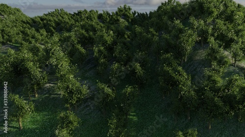 Forest trees in the mountains. 3d rendering.