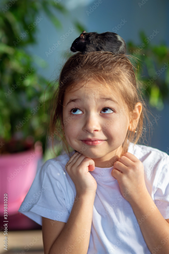 The girl at home plays with her pet a Mongolian gerbil, puts it on her head. Rodent content The girl at home plays with her pet a Mongolian gerbil, puts it on her head. Rodent content