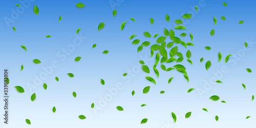 Falling green leaves. Fresh tea chaotic leaves fly © Begin Again