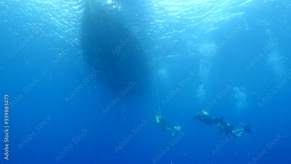 scuba divers underwater around the diving boat exploring the sea scuba divers underwater around the diving boat exploring the sea