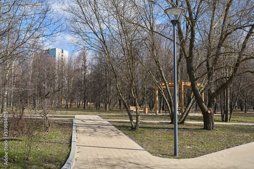 Pedestrian walkway in the park