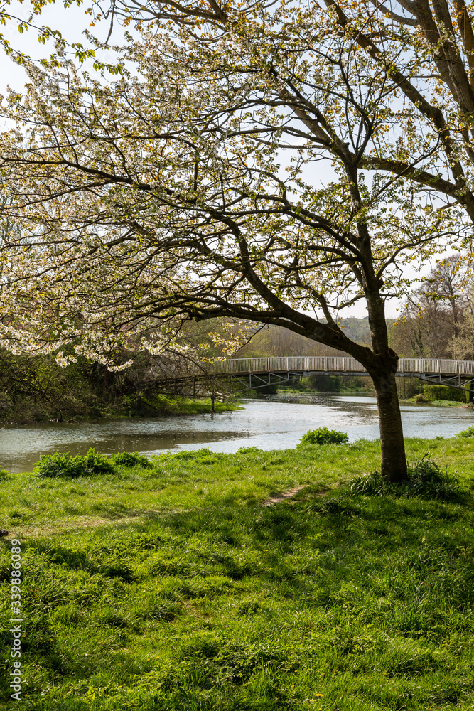 A view along the River Ouse in Lewes, in springtime