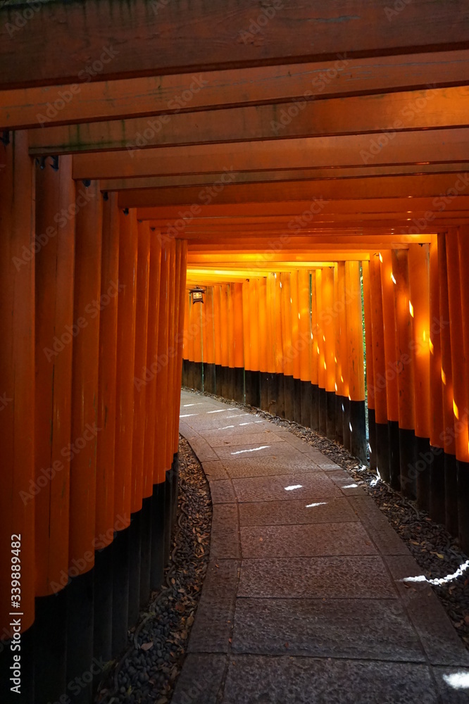 Fototapeta premium japanese shrine kyoto japan