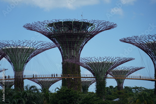 Gardens by the Bay Singapore © Phillip