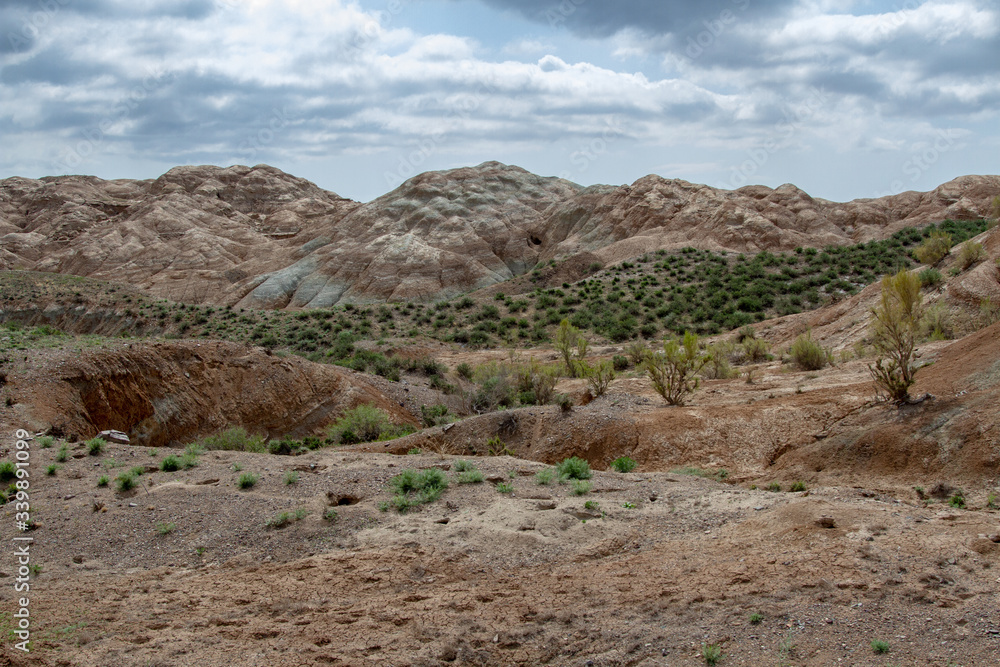 Colored, layered Aktau mountains in Kazakhstan among saxaul bushes. Colored, layered Aktau mountains in Kazakhstan among saxaul bushes.